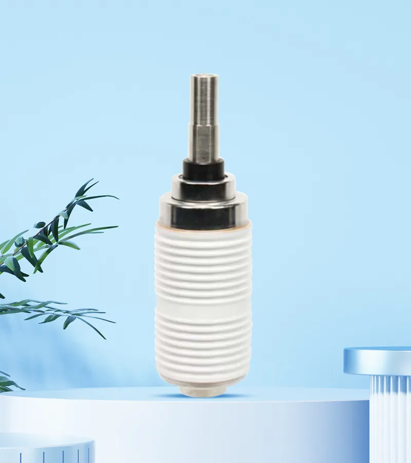 Vacuum Interrupter
